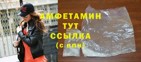 прущие грибы Абаза