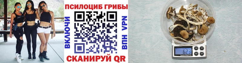 Галлюциногенные грибы MAGIC MUSHROOMS  даркнет какой сайт  Вилючинск 